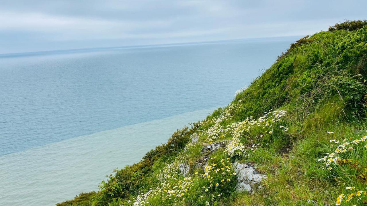 Gordy Hall -Sea Facing Welsh Cottage With Stunning Views Pendine Eksteriør billede